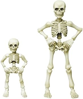 Amazon.co.jp: ポーズスケルトン ヒト (2) コドモ : おもちゃ